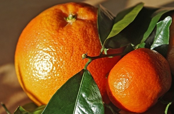 Las mandarinas con hoja, cada vez más demandadas en los mercados europeos