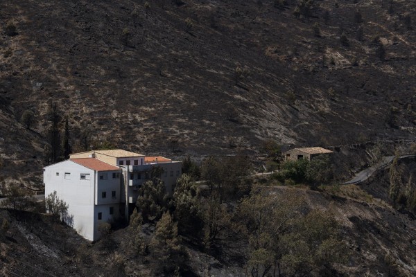 Arranca la restauración ambiental en Bejís: mejora del suelo y recuperación de fauna y flora