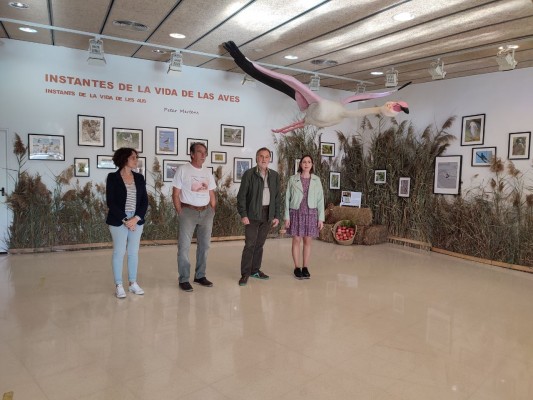 El Hondo acoge una exposición sobre la vida e importancia de las aves 