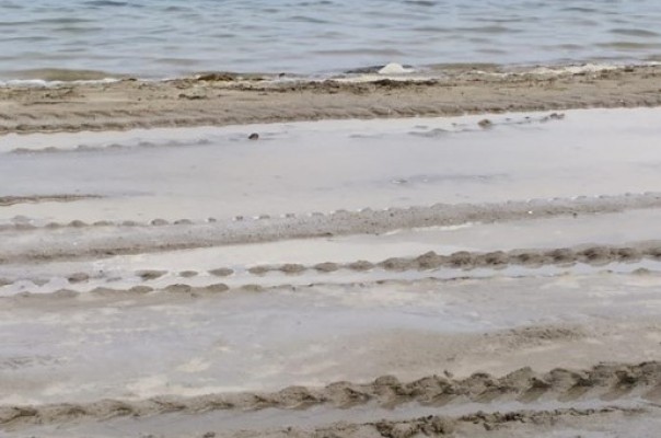 El colectivo 'Por un Mar Menor Vivo' denuncia el vertido de nitratos y fosfatos en la playa Colón de la Ribera
