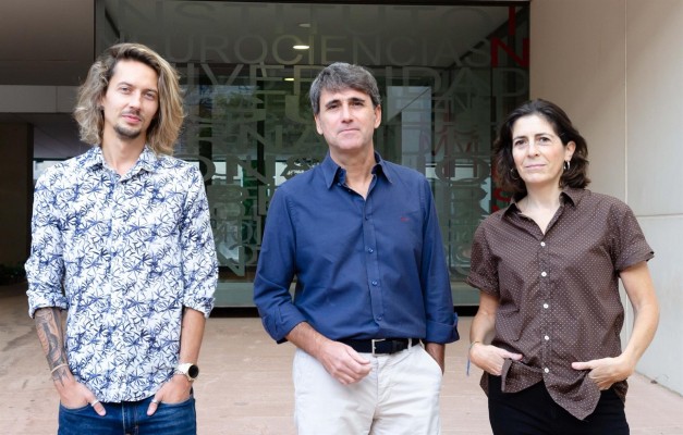 Demuestran alteraciones en una proteína clave en el desarrollo del alzhéimer