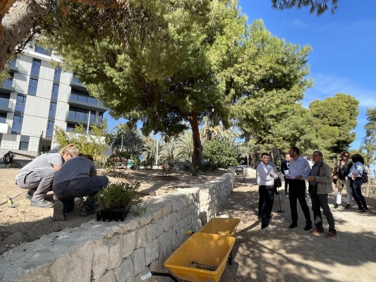 Los talleres de empleo de Elche forman a 460 personas y regeneran tres kilómetros de la ladera del río