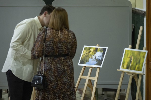 Castelló impulsa una doble muestra de fotografías de la Marjaleria para realzar sus valores ecológicos

