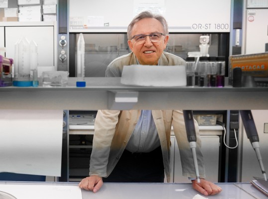 La Comunitat Valenciana lidera un plan nacional de I+D+i para descubrir los materiales del futuro  