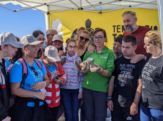 Una tortuga boba vuelve al mar en San Pedro del Pinatar tras recuperarse de sus heridas