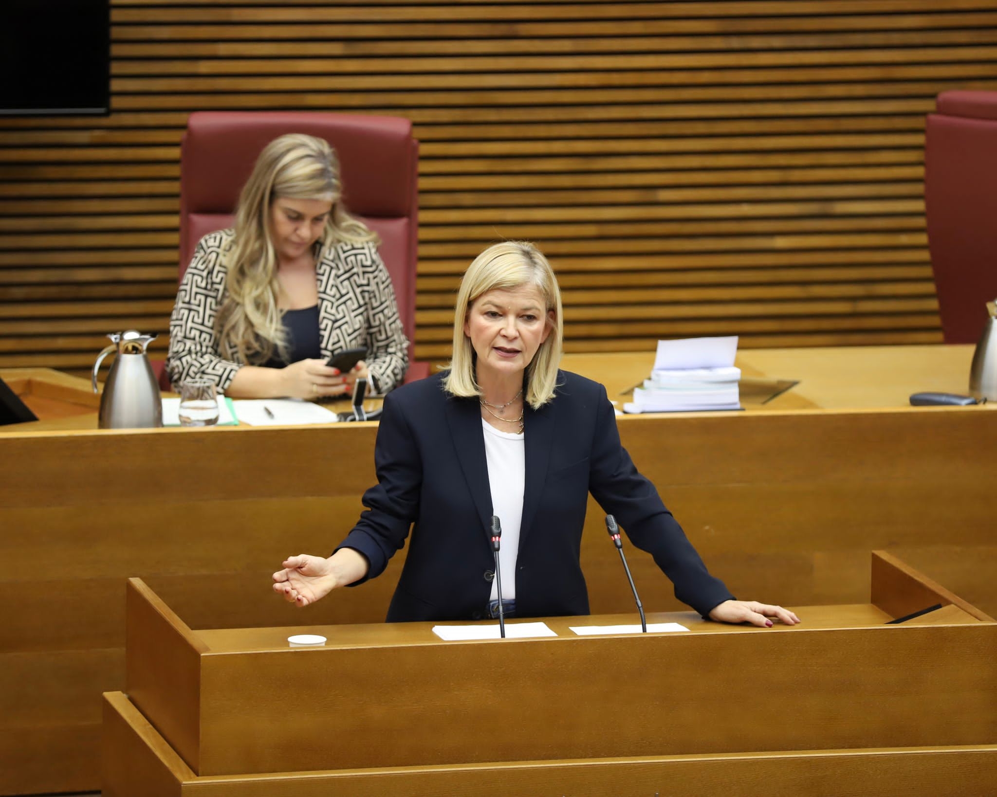 La consellera Gabriela Bravo, en Les Corts este viernes. Foto: GVA - 