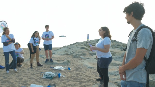 Oceanogami: una consultoría ambiental marina para conectar personas y firmas con el océano