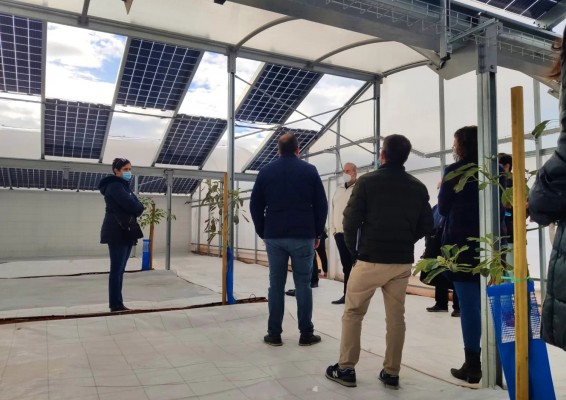 Empresas y cooperativas crean una asociación para promover comunidades energéticas en la Comunitat