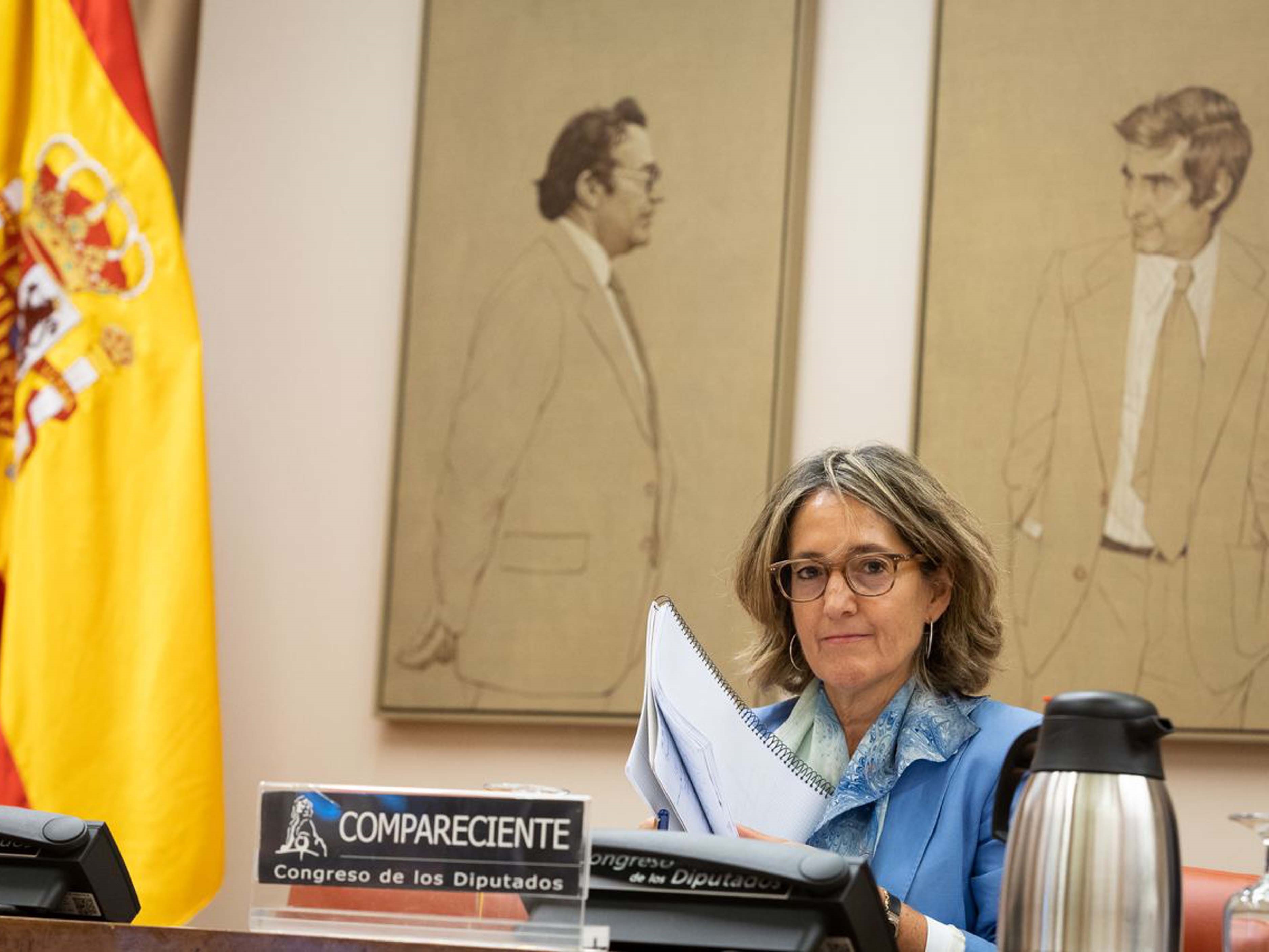 María Jesús Martín, que pasó a ser consejera de la CNMC el 5 de octubre. Foto: Congreso.  - 