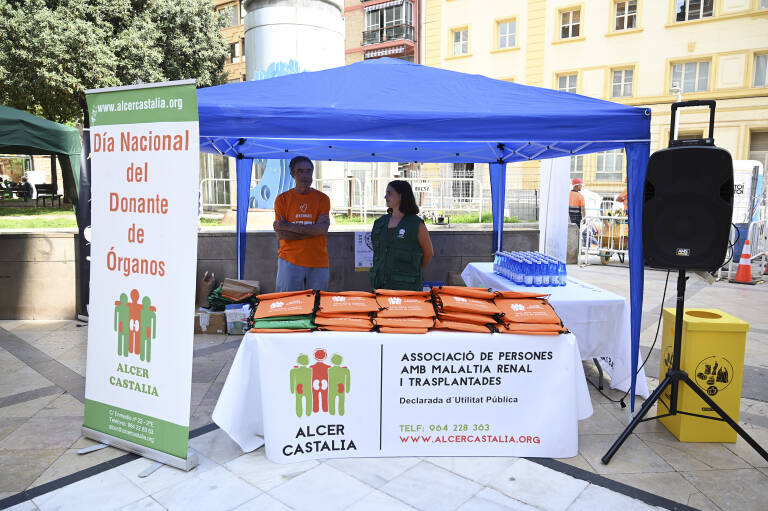 Alcer Castalia programa nuevos talleres para reforzar aptitudes clave en la búsqueda de empleo