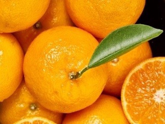 AVA-Asaja denuncia ante la AICA a Carrefour por presunta venta a pérdidas en naranjas españolas
