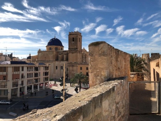 Las deficiencias que presentan el Mahe de Elche y el Palacio: conservación, seguridad o falta de almacenaje 