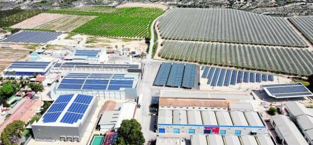 New Concisa roza los 60 millones en ventas y se apoya en el retail para seguir creciendo al 30%