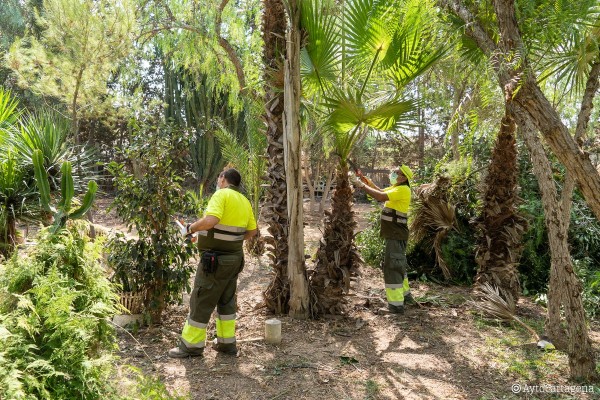 Contratación resolverá en noviembre dos contratos salpicados de sobresaltos, que suponen más de 64 millones de euros