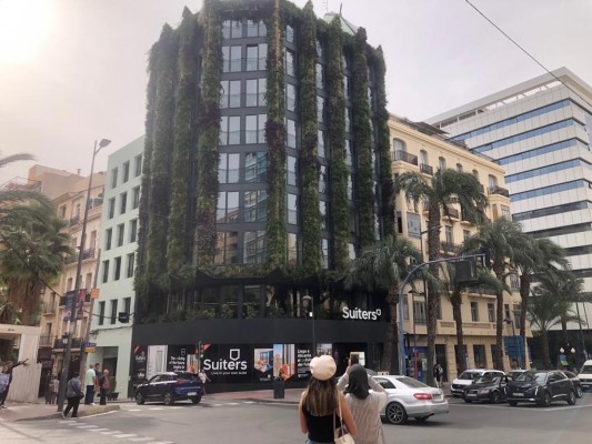 El primer 'coliving' de Suiters en Alicante llega al 70% en un mes con estancias de hasta un año 