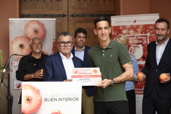 La temporada de la granada mollar de Elche arranca con 30% menos de producción por el clima