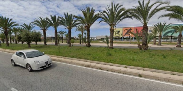 Elche aprueba destinar tres millones de euros para modernización de calles y parques este viernes