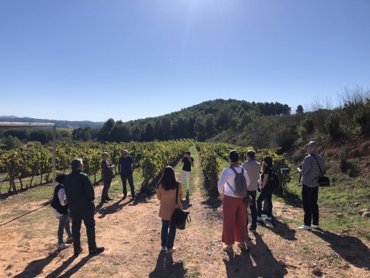 El enoturismo en el Alto Palancia conquista con un nuevo encuentro en forma de 'Fam Trip'