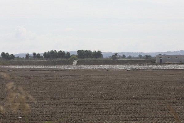  Ahsa denuncia la construcción de otra balsa de riego en Carrizales de Elche, con afección a El Hondo