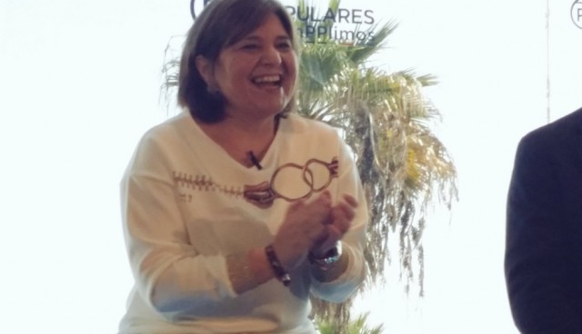 Bonig pide al Consell 