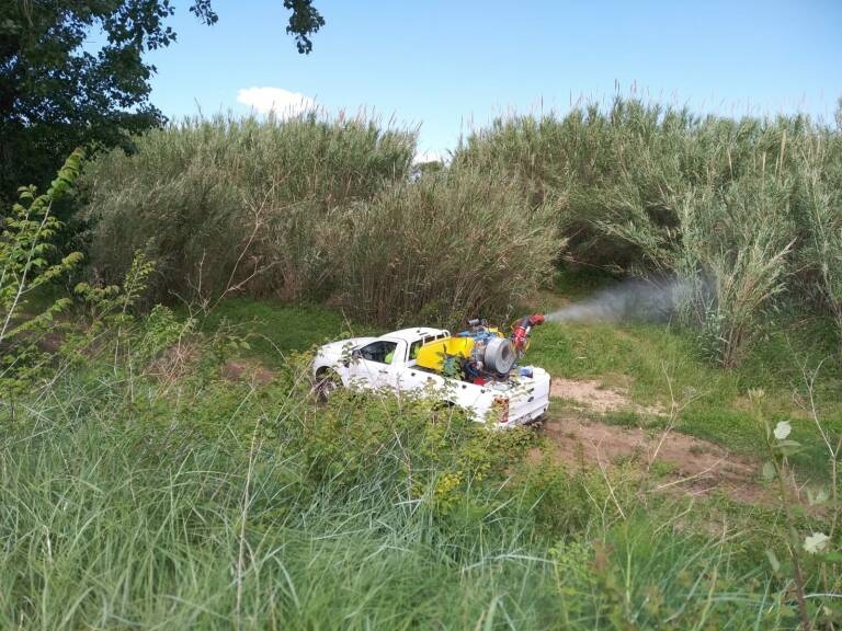 La Diputación refuerza la fumigación contra los mosquitos en los municipios de la costa