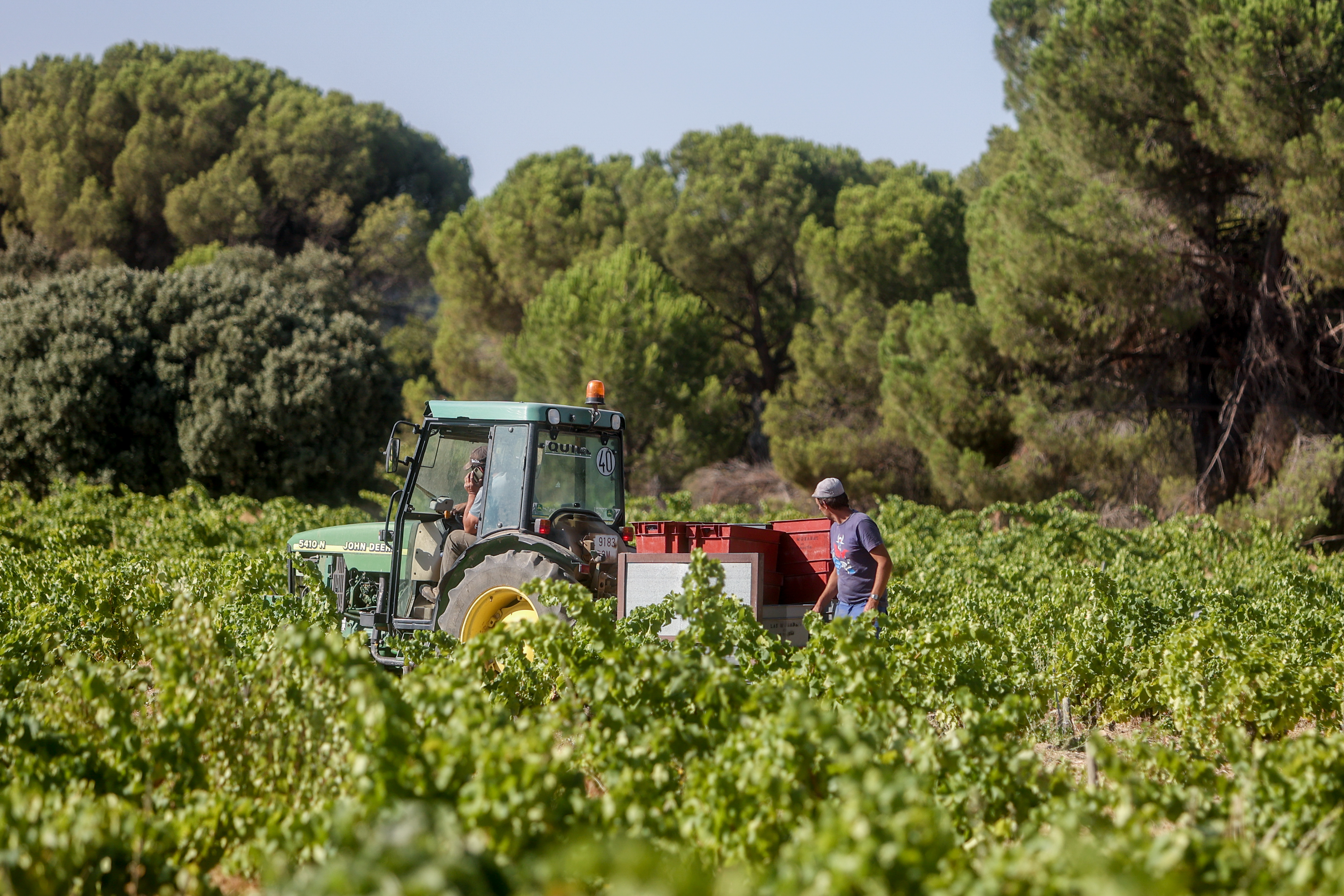 La incertidumbre y la inflación golpean a los agricultores en todo el mundo