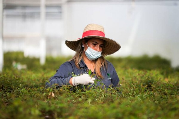 COAG-IR destaca la labor de las mujeres en el desarrollo del sector agrario