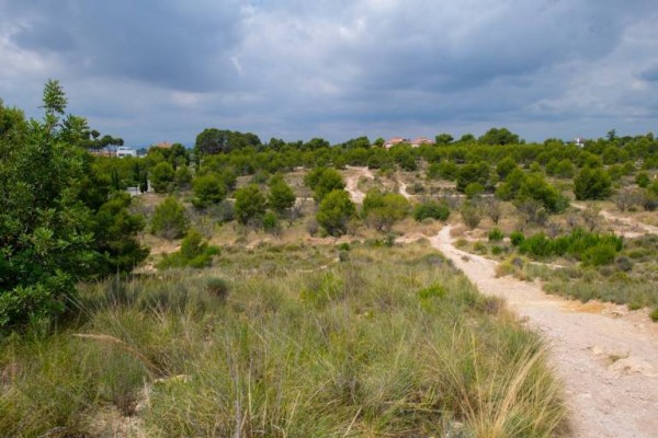 Comienzan las obras en el bosque de la Torre del Pirata de Godella
