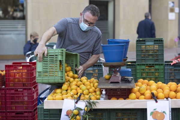 Castelló ofrece precios justos a partir del próximo domingo en la Fira de la Taronja

