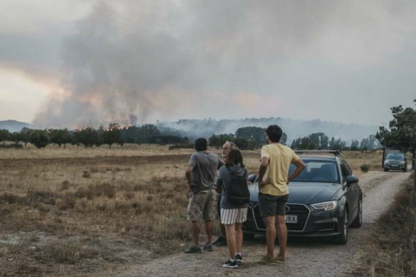 Transición Ecológica concede 1,6 millones de euros a planes locales de prevención de incendios