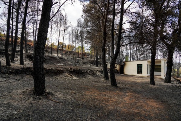 La Confederación Hidrográfica del Júcar destina 840.000 euros para reparar daños por el incendio de Bejís