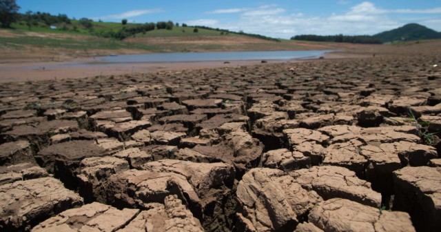 Sequía: Una amenaza para la producción de leche y aceite