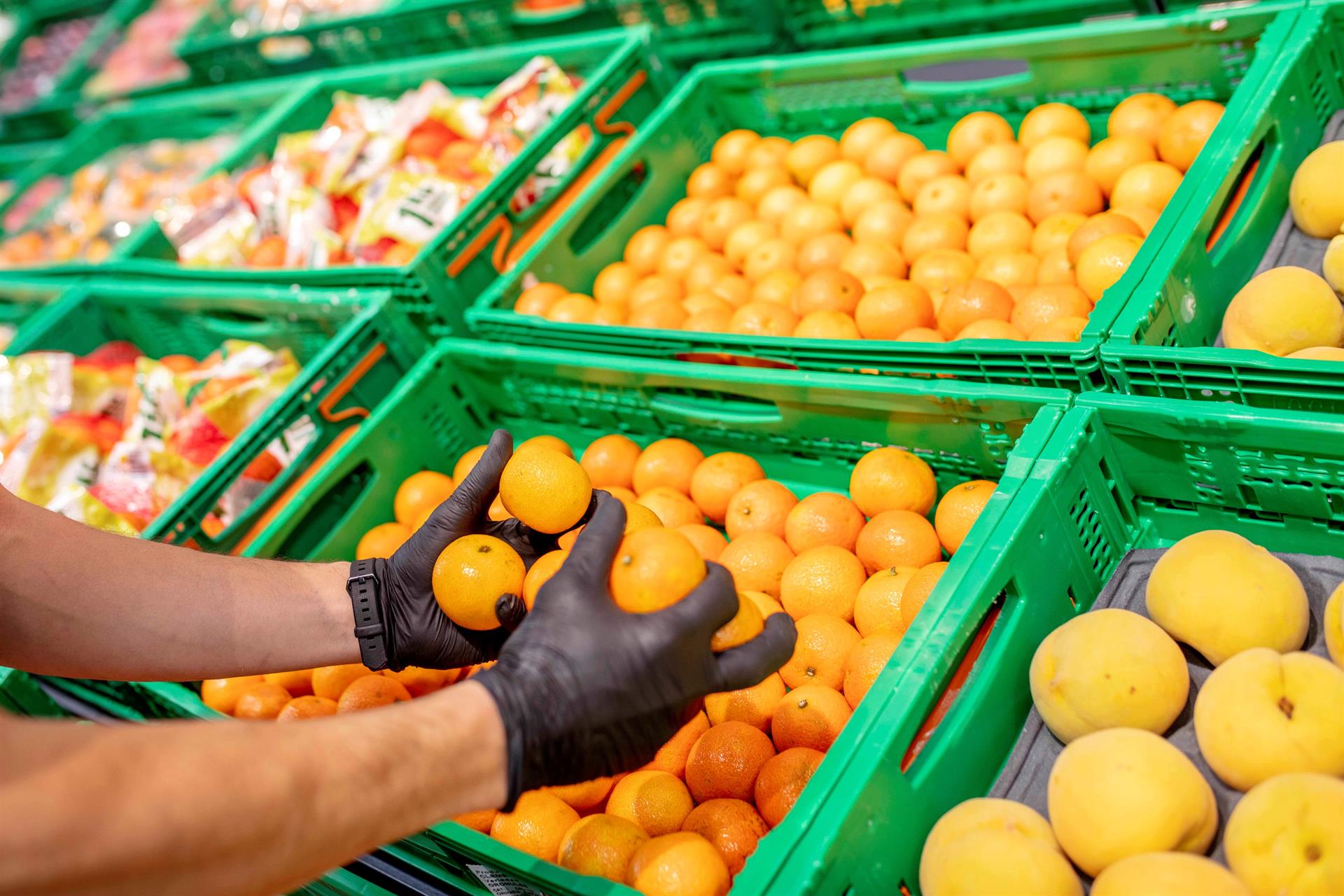 Mercadona inicia la campaña citrícola local con la mandarina oronules y prevé comprar 200.000 Tm