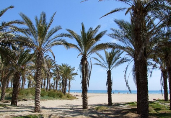 Red Sanitaria Solidaria de Castellón y Econsciencia organizan una limpieza en la playa del Pinar