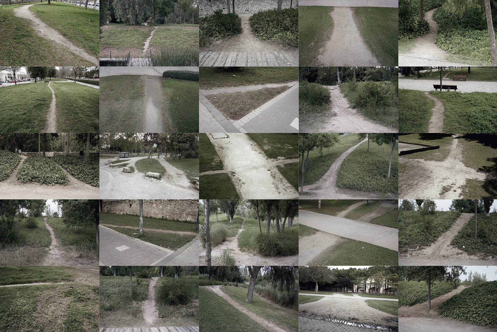 El jardín del Turia viaja 125 kilómetros con Ismael Teira 