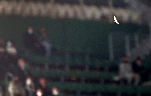 El Elche, invicto como local con el Mallorca