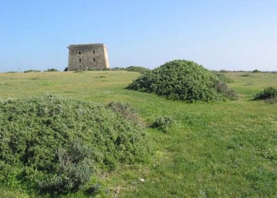 Alicante compra 23 hectáreas de campo de la isla de Tabarca para preservar su valor ambiental
