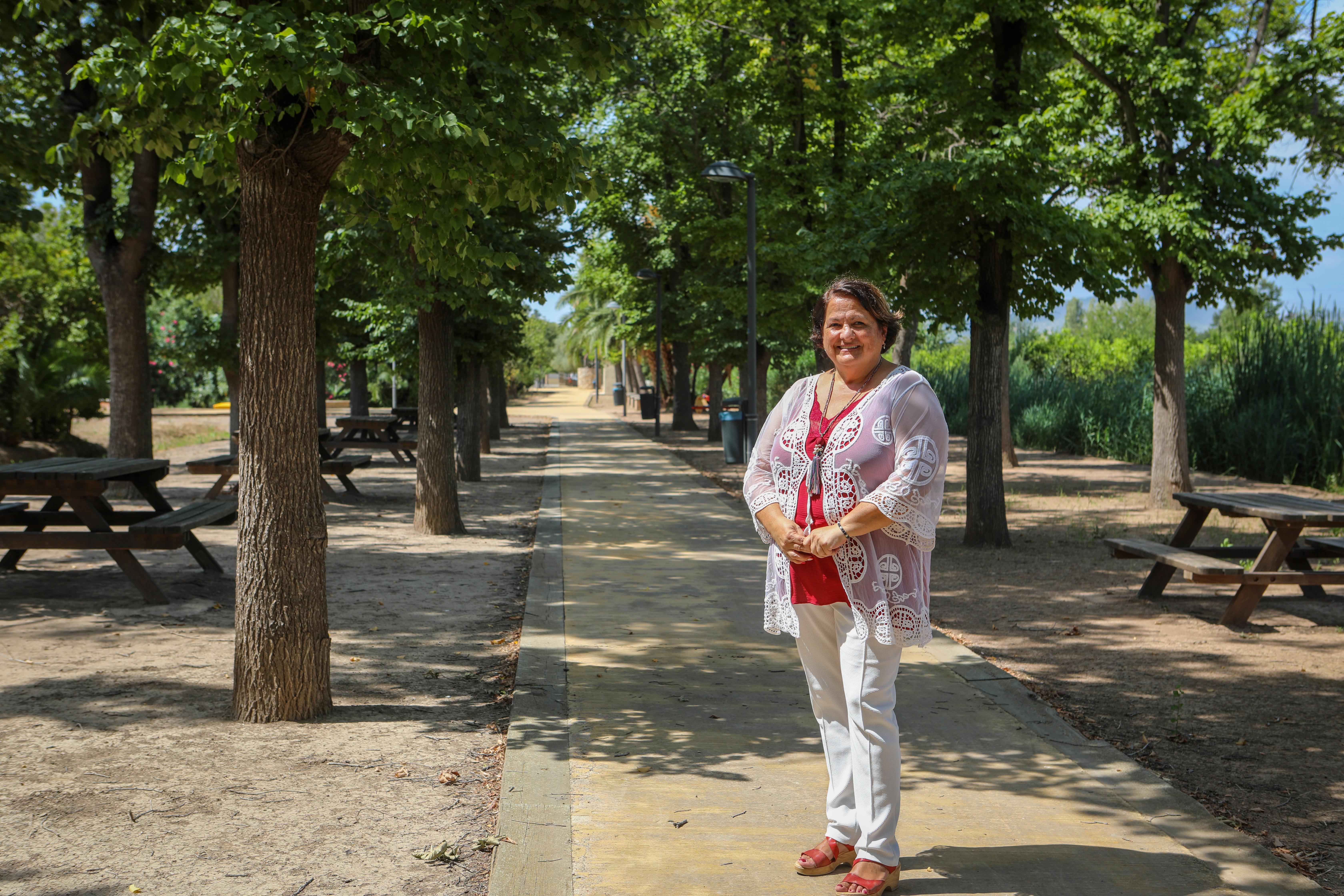 Castelló impulsa el Plan Director del Arbolado para mitigar los efectos del cambio climático