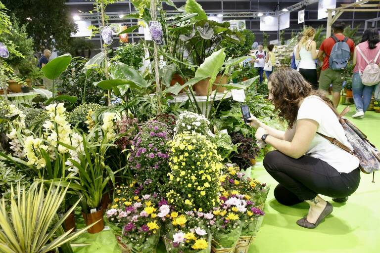 El sector de las plantas se reunirá en Iberflora en València y mira con incertidumbre hacia 2023
