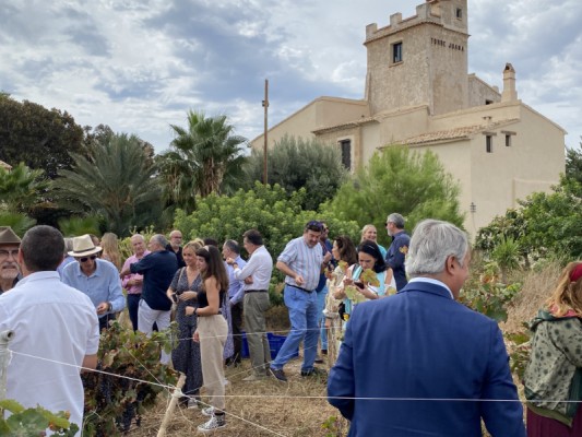 Tecnología y tradición: Torre Juana realiza la vendimia del Fondillón y un chatbot para narrar su historia