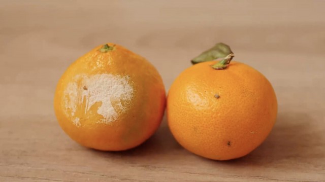 Citrosol, contra el desperdicio alimentario