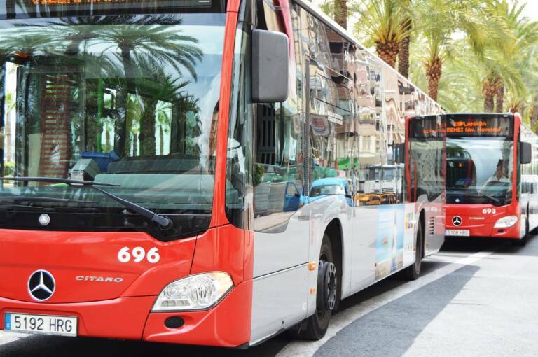 La megacontrata de 145 millones por el servicio de bus de Alicante: un duelo entre Vectalia y Avanza