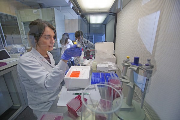 Salud, agroalimentación, TIC, ingeniería y moda: los sectores de las 'startups' en la Maraton UMH
