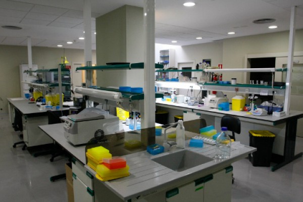 El MAB, un hervidero: dos estrenos más esta semana y Pangaea Oncology en breve