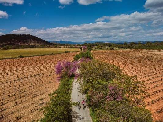 La Vía Verde del Noroeste se alza como la más popular de la Región: ha acogido 170.000 turistas en 2022