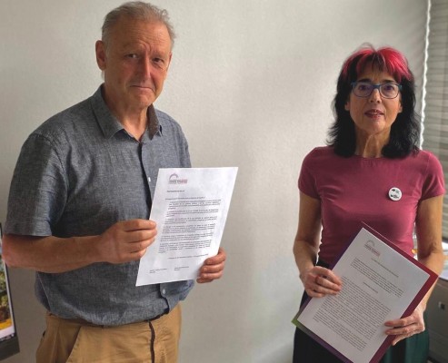 Saavedra (Podemos) reclama en el Congreso que se impulsen cooperativas energéticas sin ánimo de lucro
