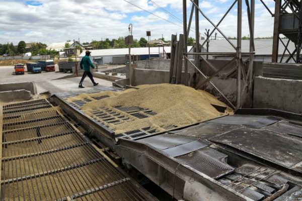 La UE busca una salida para los 50 millones de toneladas de grano de Ucrania 