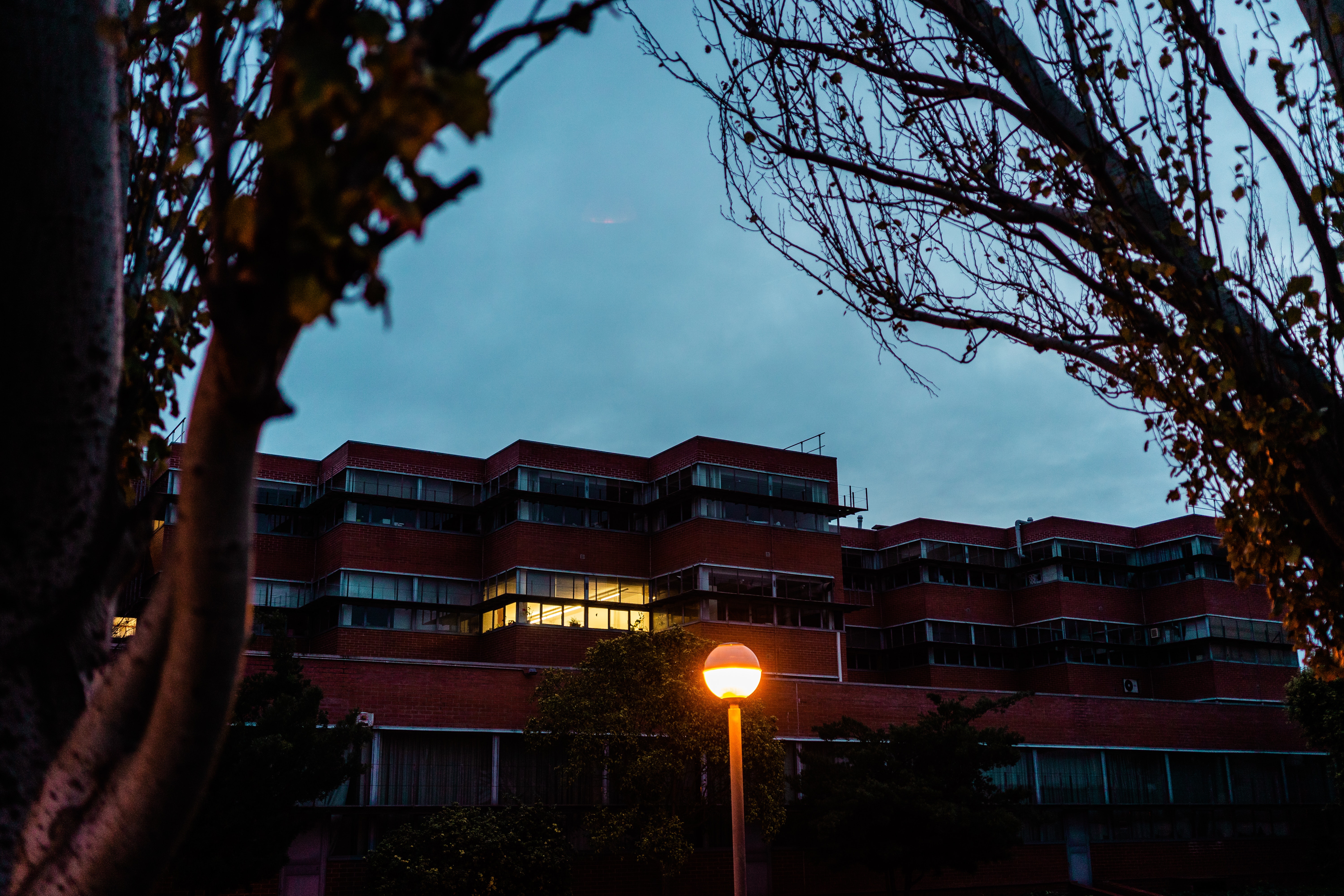 La nueva Ley de Protección Lumínica valenciana contemplará sanciones de hasta 40.000 euros