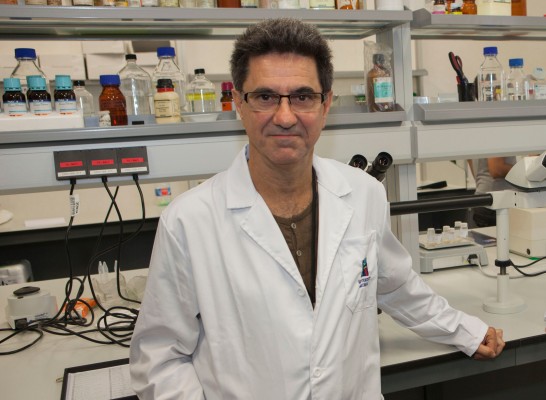 Un estudio demuestra que inactivar una parte del cerebro disminuye la agresividad en crías de ratón
