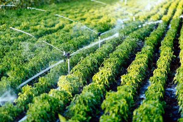 Idrica desarrolla tecnologías de Big Data y analítica de datos para optimizar el riego agrícola